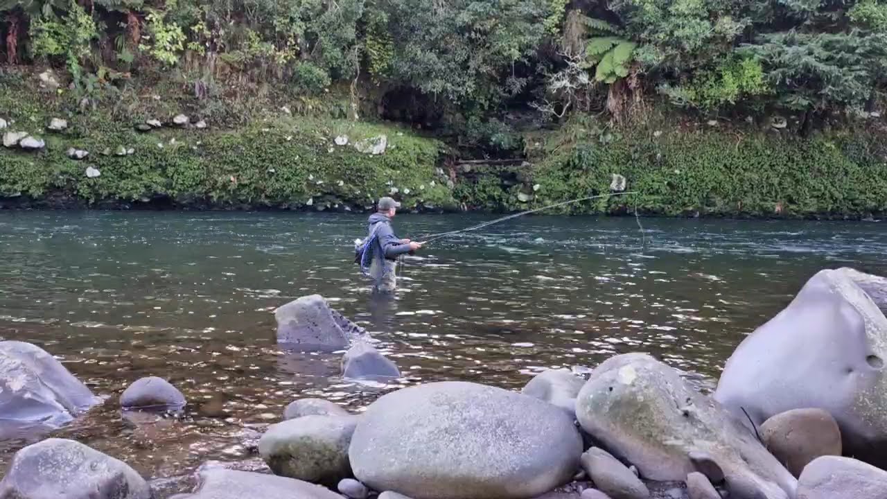 Practicing Tongariro Roll Cast single hand spey casting using conventional weight foreward line