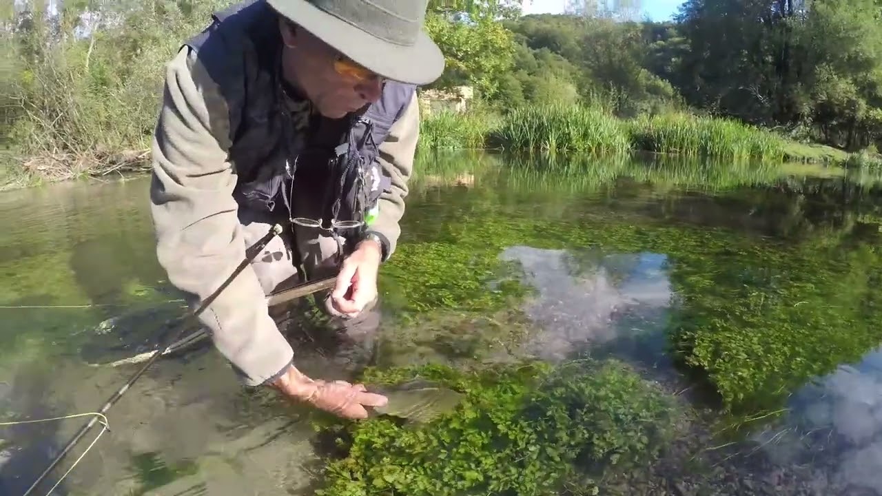 Flyfishing in grayling paradise