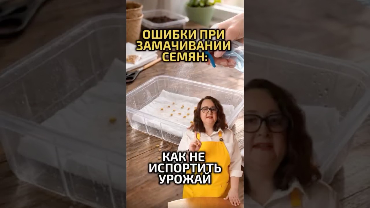 Ошибки при замачивании семян