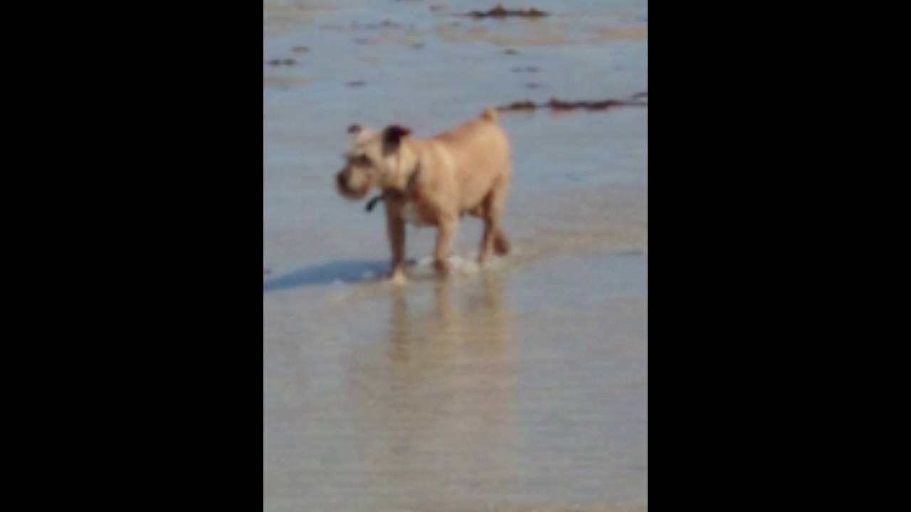 Ardroil Beach, Isle of Lewis