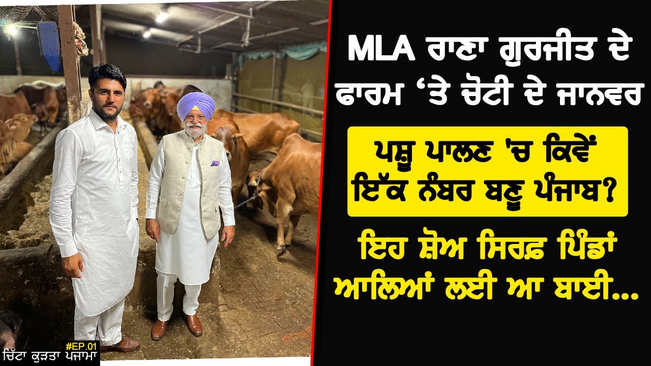 ਵੇਖੋ MLA Rana Gurjit ਦੇ ਫਾਰਮ ‘ਤੇ ਚੋਟੀ ਦੇ ਜਾਨਵਰ | Best dairy farm in punjab ? | Akhar