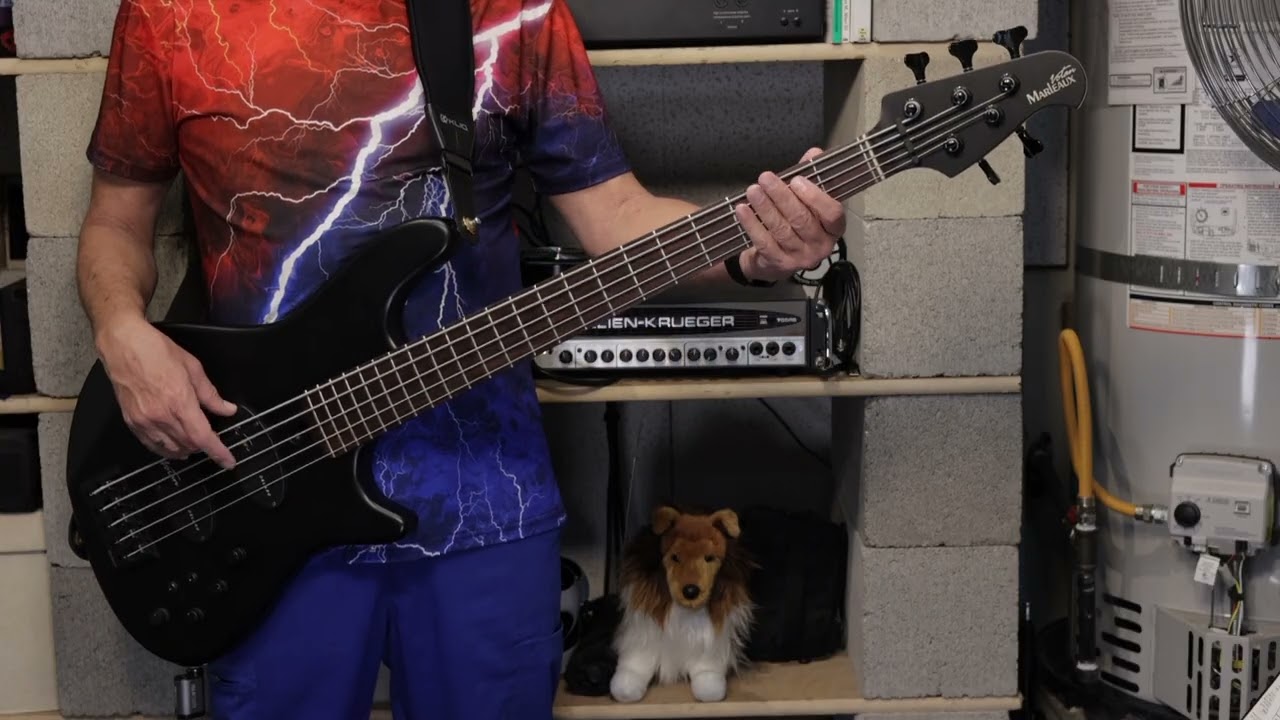 Big & Rich - No Sleep (Bass Cover)
