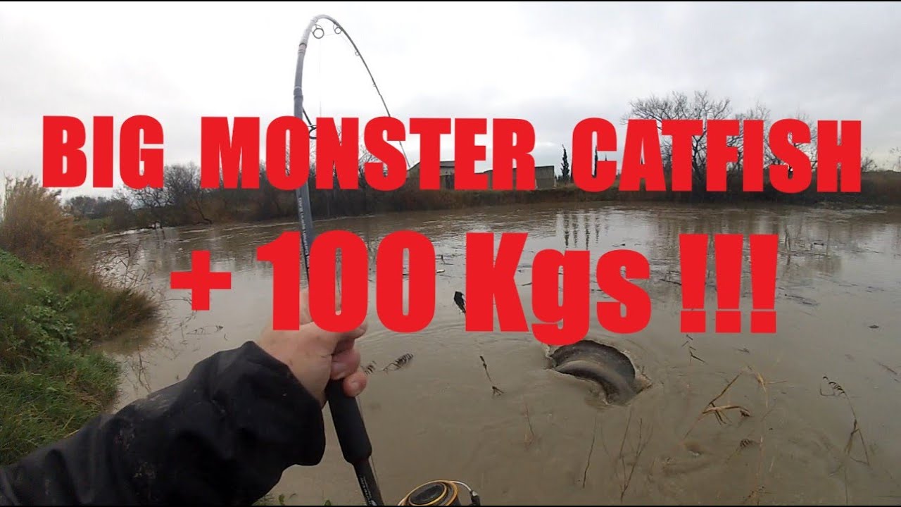 У МЕНЯ БОЛЬШОЙ КОТЕТ БОЛЕЕ 100 КГ