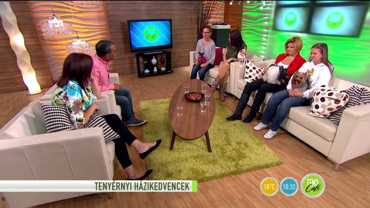 Tündéri aprócska házi kedvencek-2015.09.25 – tv2.hu/fem3cafe