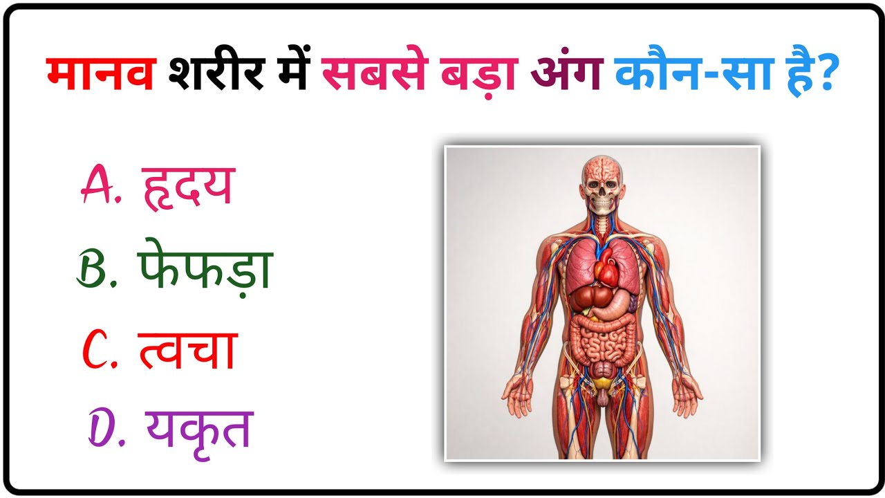 Top 20 Gk Question || Gk Question || Gk Question And Answer || Gk Quiz || GK CURRENT PULSE || Part 2