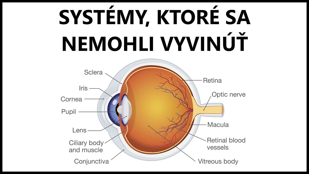 Systémy vylučujúce evolúciu | Neredukovateľná komplexita