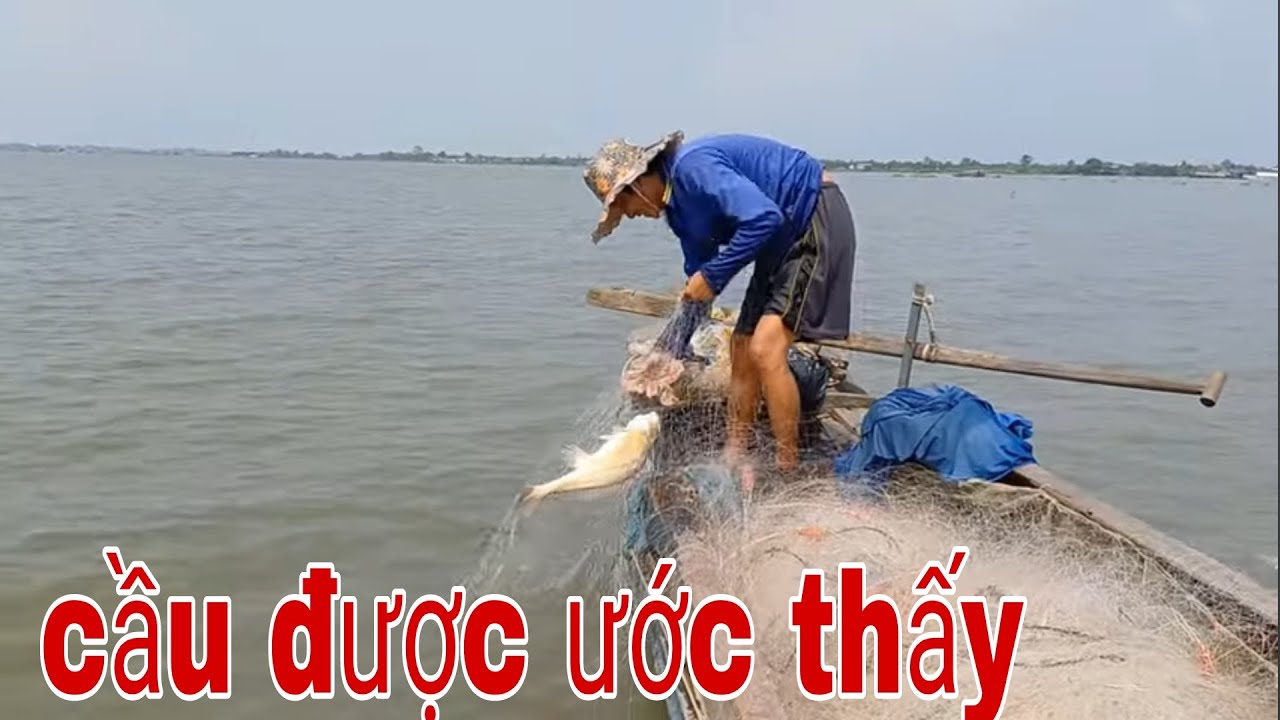 Hay Không Bằng Hên Chỉ Cần Kéo Quần Lên Là Dính Cá Sủ Liền # SĂN BẮT ĐỒNG THÁP #