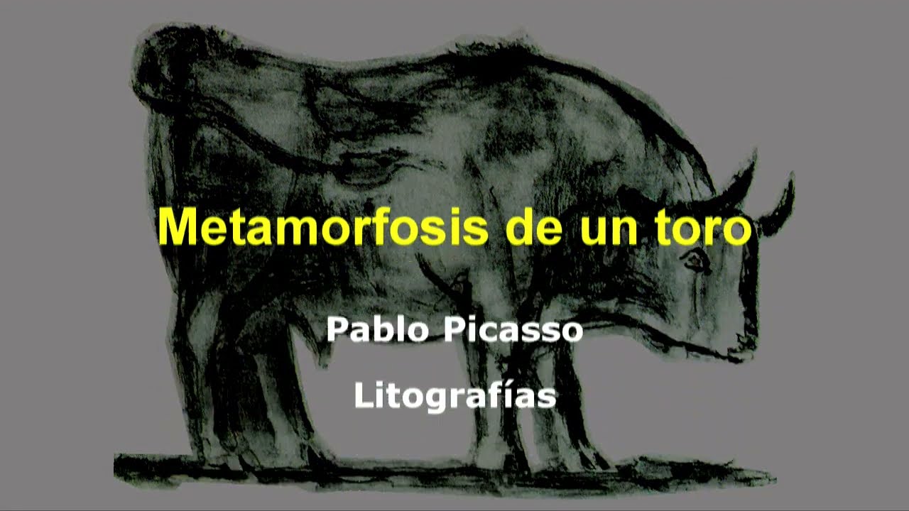 Pablo Picasso, La metamorfosis de un toro