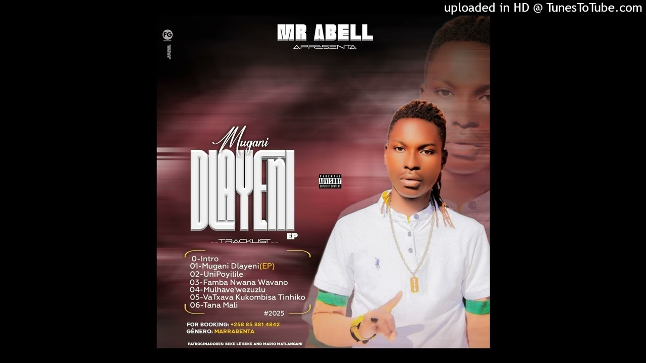 Mr abelly tcham-mungani dlayeni