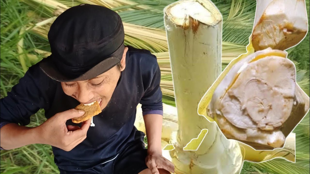 Pria ini dianggap NGGRAGAS karena masak umbut kelapa | olahan terong kuah santan