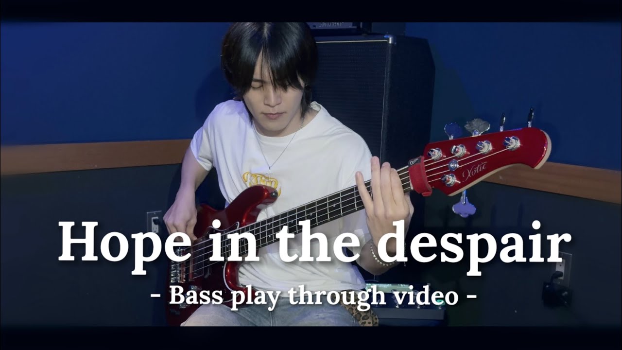Hope in the despair / Tweyelight 【official Bass play  through】 by sekiyu