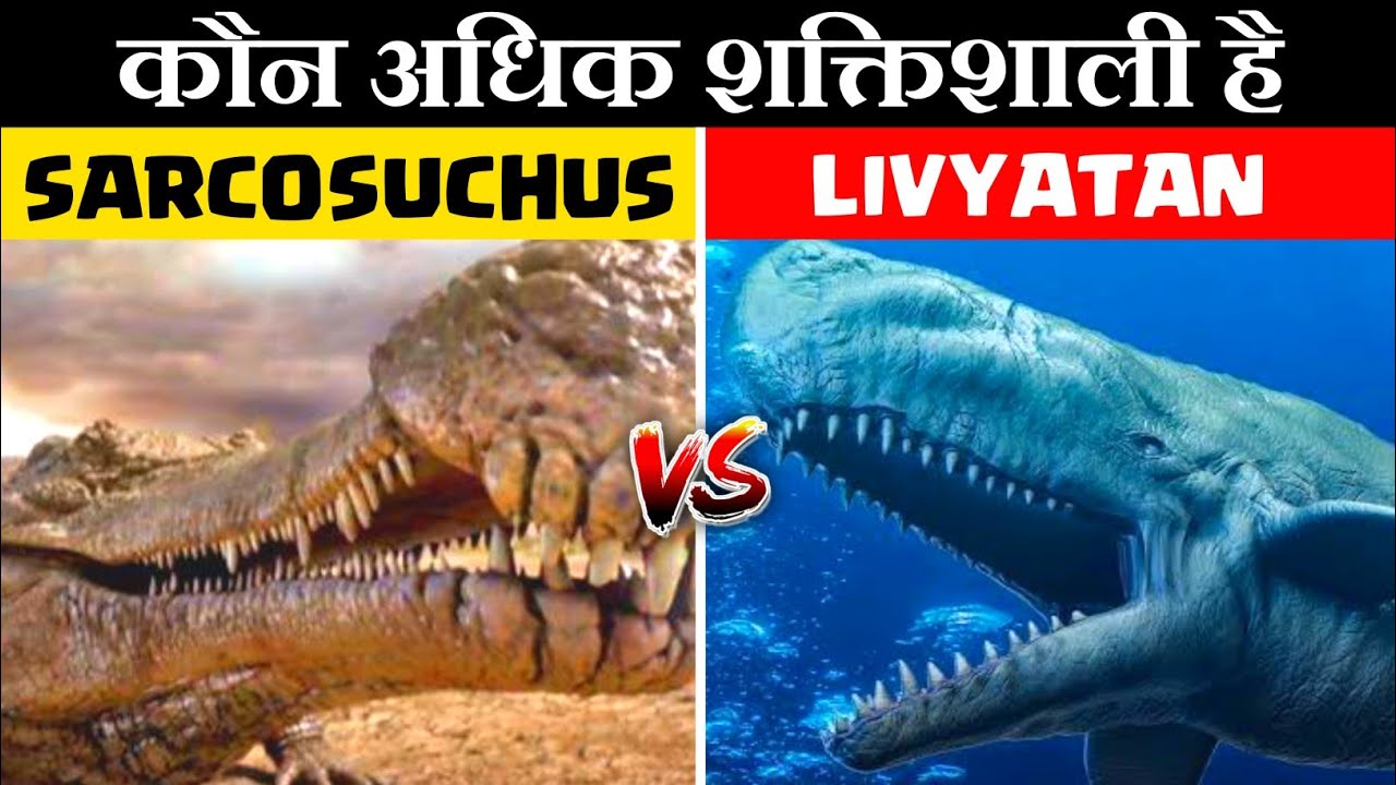 Sarcosuchus और Livyatan की लड़ाई | Giant Crocodile vs Prehistoric Livyatan | In Hindi | Anokhe Sach