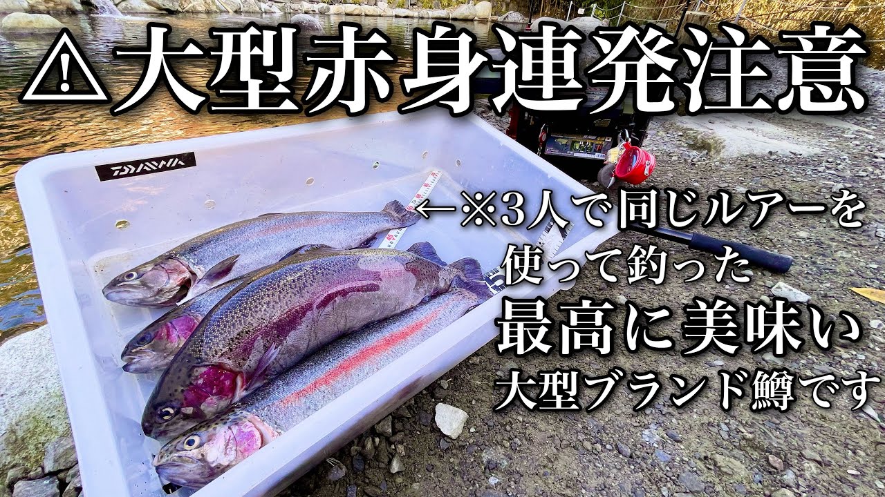 大物ラッシュが止まらない！初心者でも簡単に爆釣できる新作ルアーがヤバい...【八丁堀】【エリアトラウト】【管理釣り場】【初心者向け】