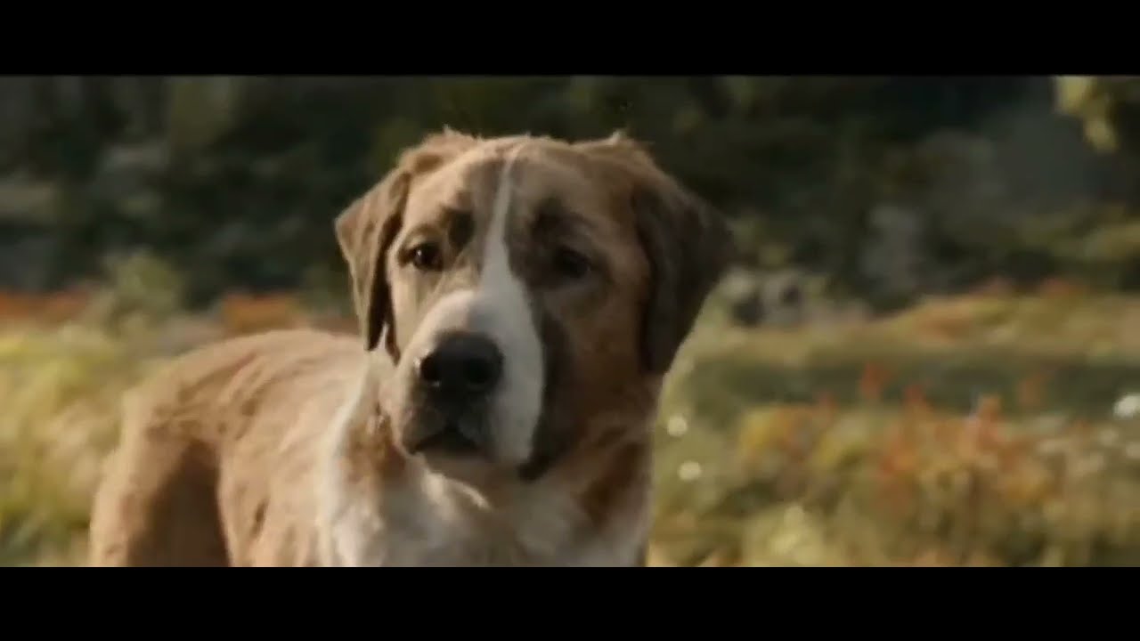 //The Call Of The Wild//Alone, Pt. 2//Music Video//