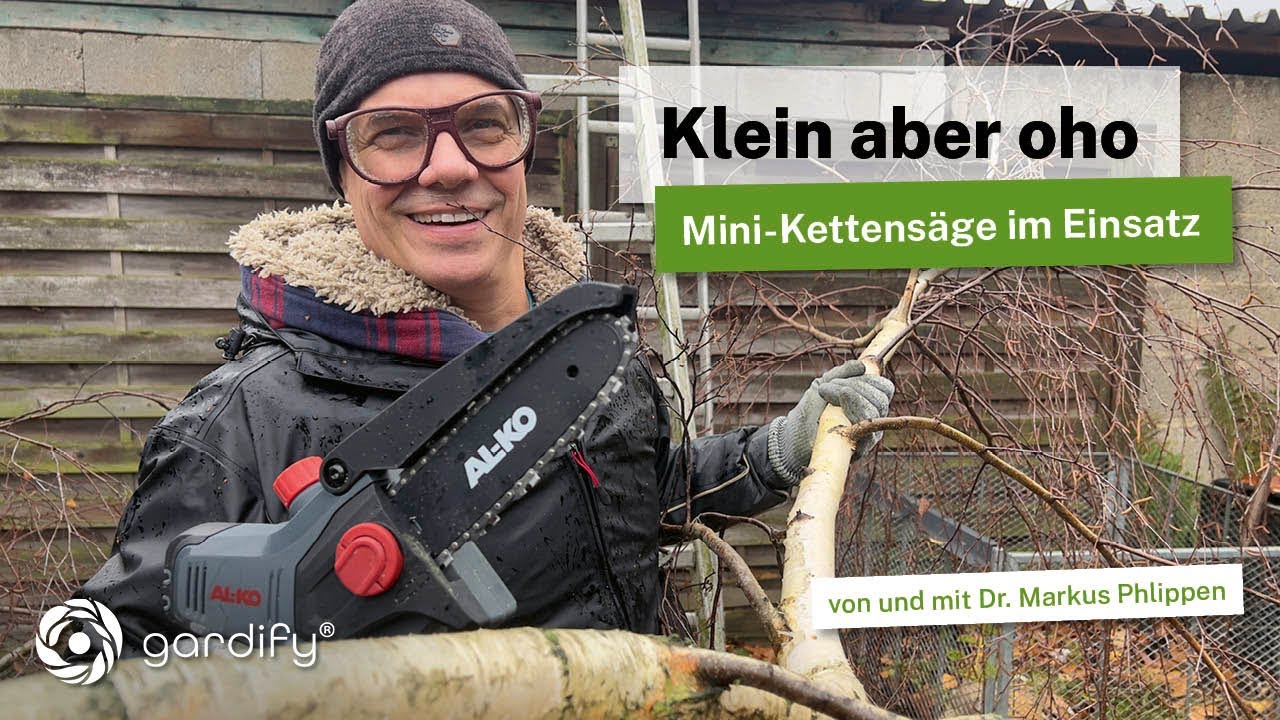 AL-KO Akku-Minikettensäge CSM 1815 im Einsatz. Birke für Baumfällung aufasten und vorbereiten!