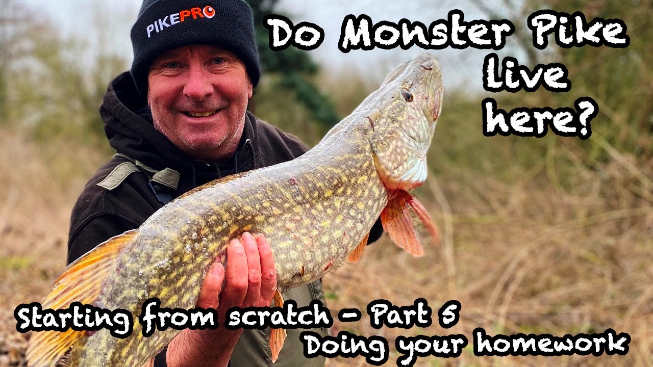 Смотрите прямую трансляцию Monster Pike здесь - Выполняем домашнее задание. Часть 5.