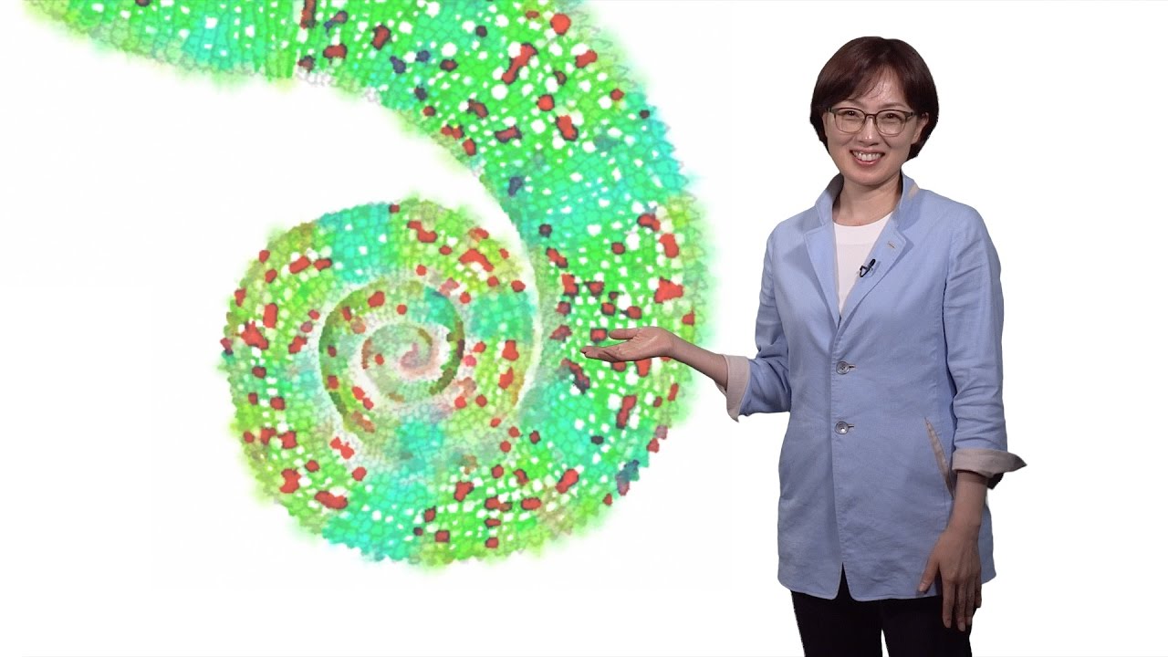 V. Narry Kim (IBS and SNU) 2: Tailing in the Regulation of microRNA and Beyond