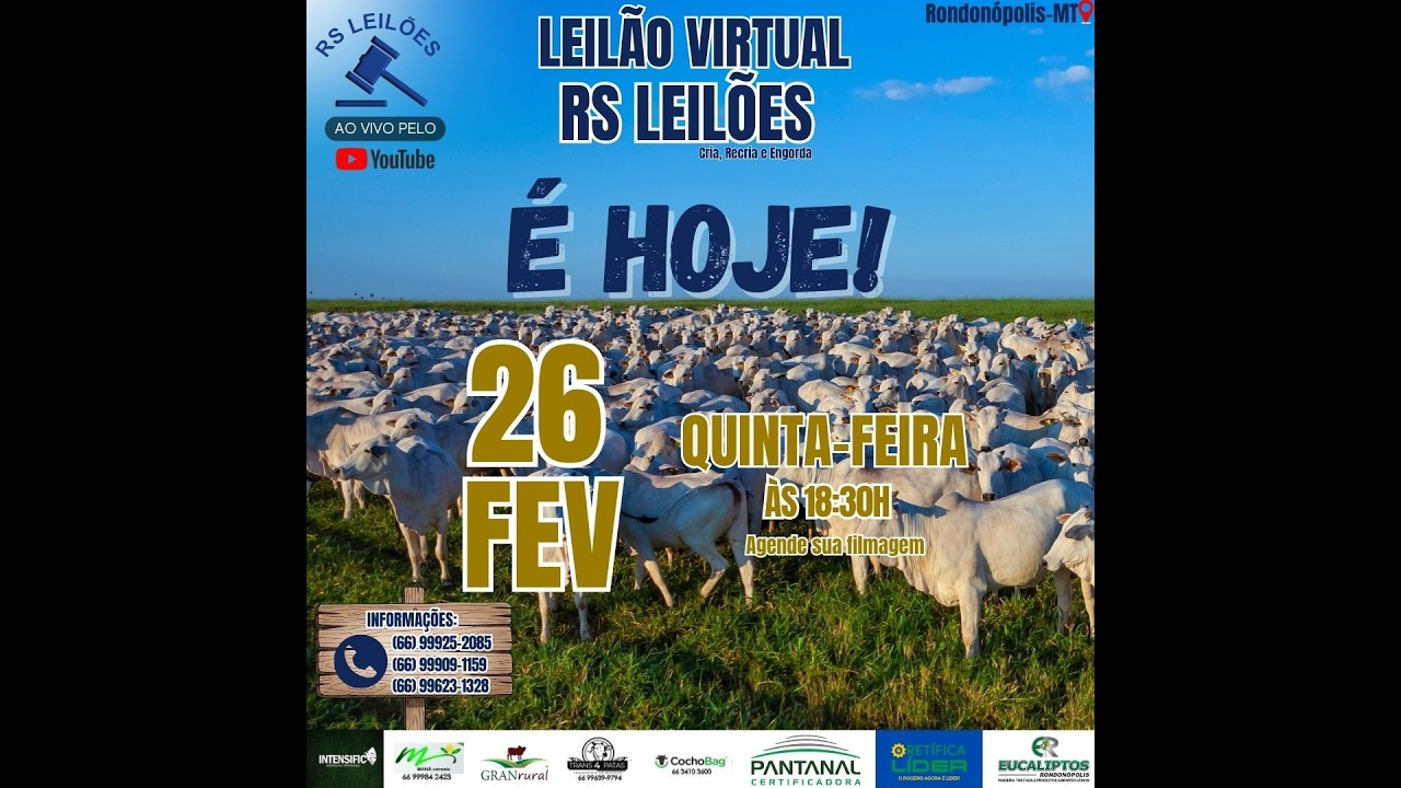 LEILÃO VIRTUAL RS LEILÕE26 02 2026 QUINTA FEIRA 18:30 HORAS