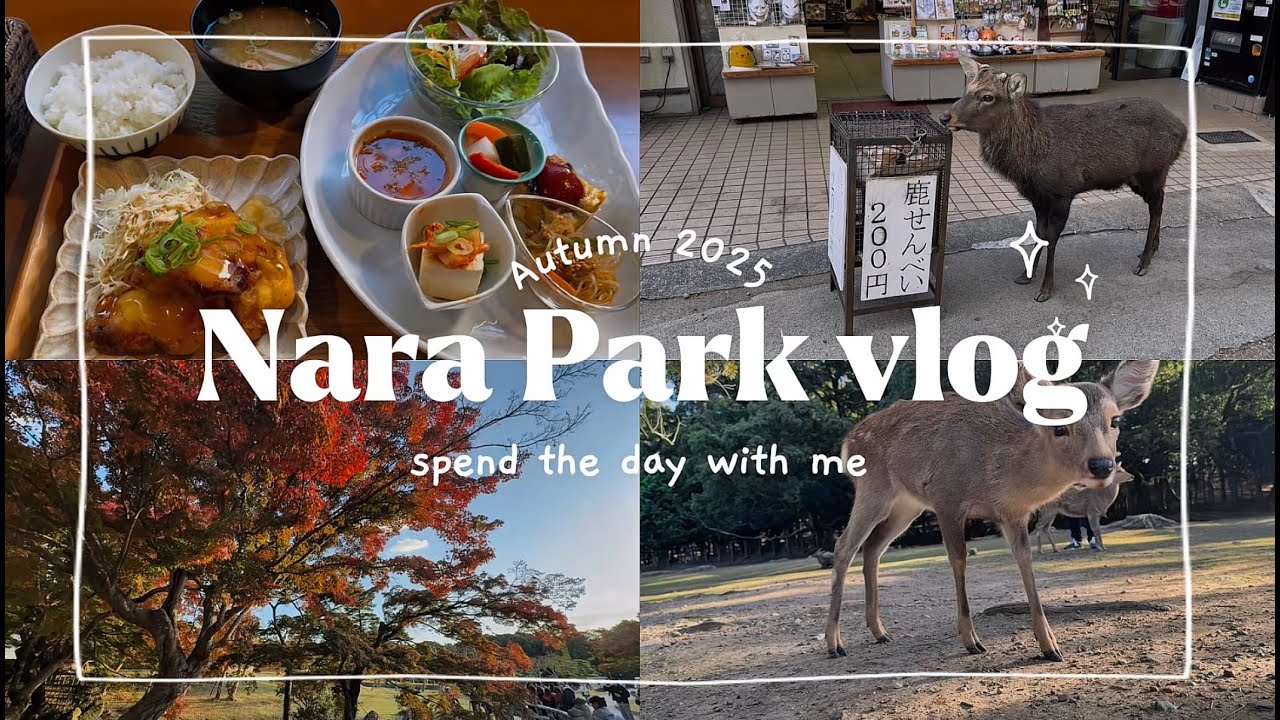 【奈良観光vlog】奈良公園の鹿とふれあい🍁奈良駅から公園まで｜絶景＆グルメ一人旅🦌/Deer in Nara Park | Scenic Views & Food🌳🍽️