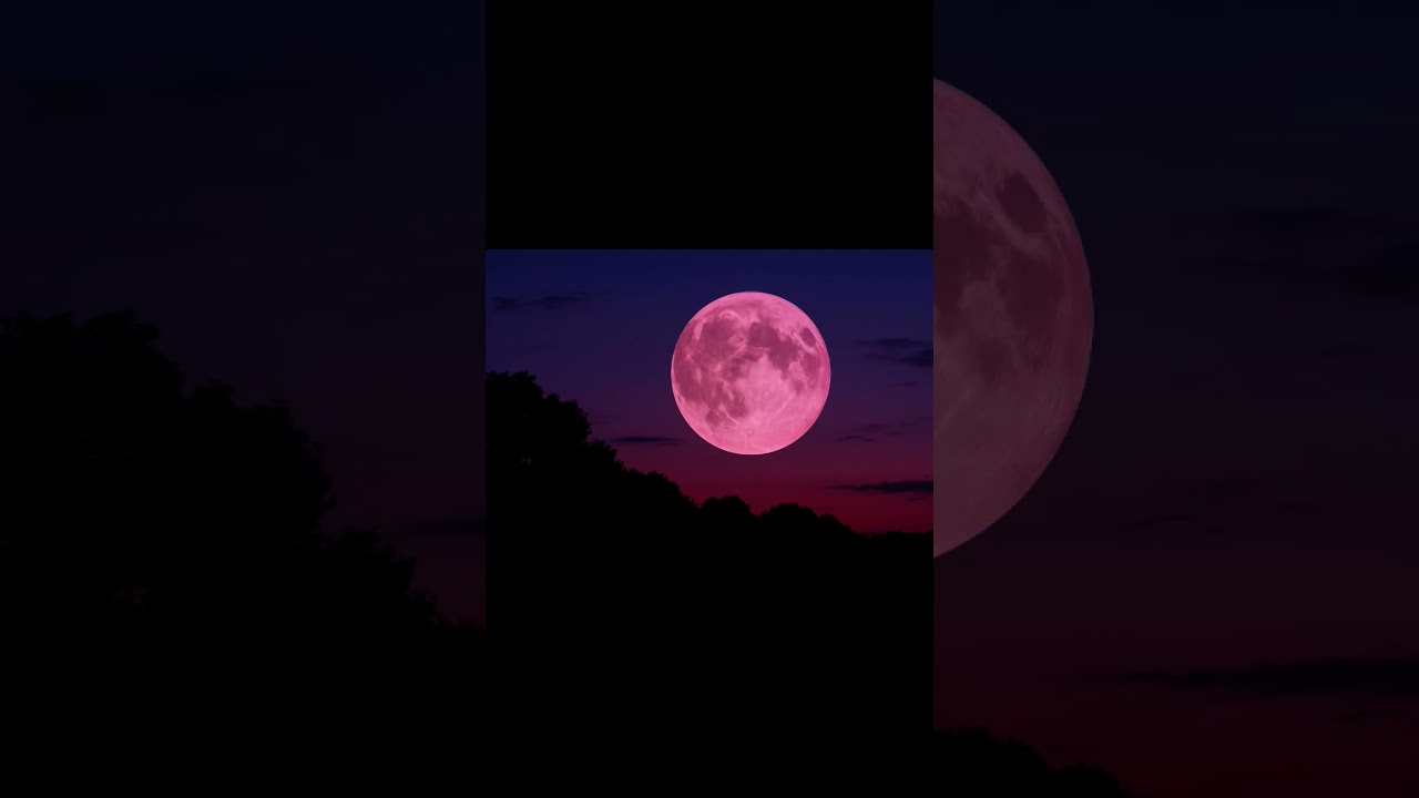 pink moon