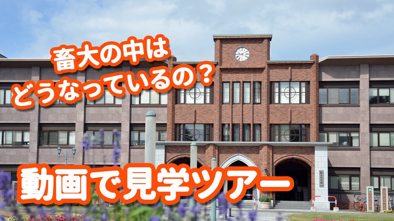 畜大の中はどうなっているの？動画で大学見学ツアー