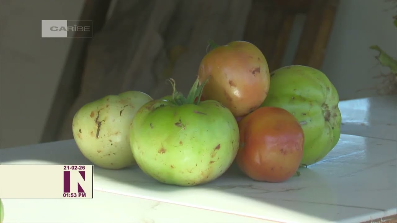 Cuba potencia empleo de agroecología