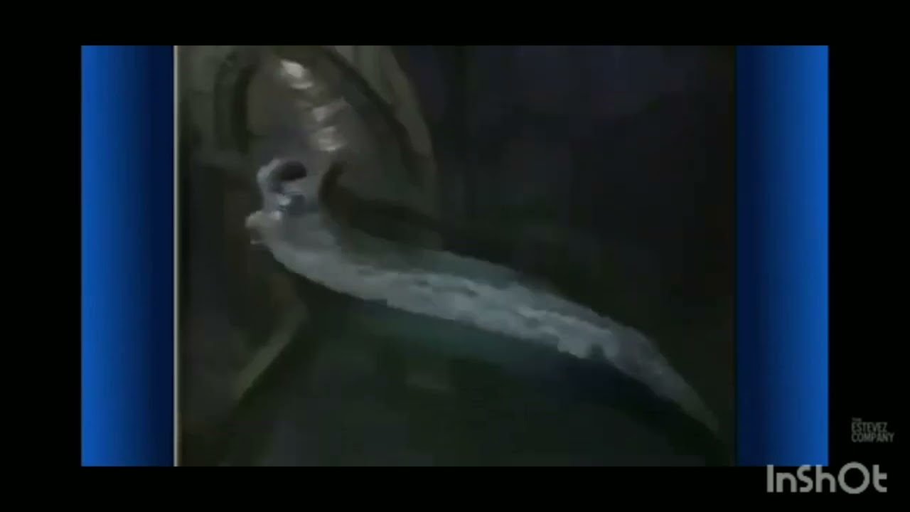 Kellogg's Marshmallow Blasted Froot Loops Commercial Compilation (1998-2001)