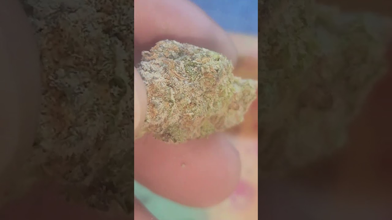 Visual Strain Review: R.E.M by CAM🔥🔥🔥🔥🔥