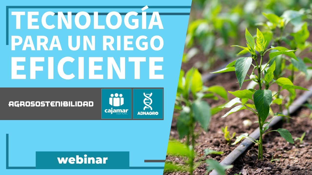Uso de tecnolog&iacute;a para un manejo eficiente del riego