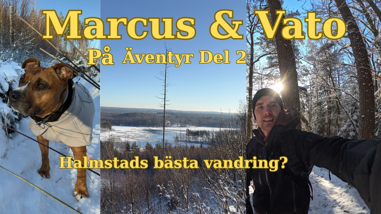  Vandring i Halmstad – ett av stadens bästa guldkorn?