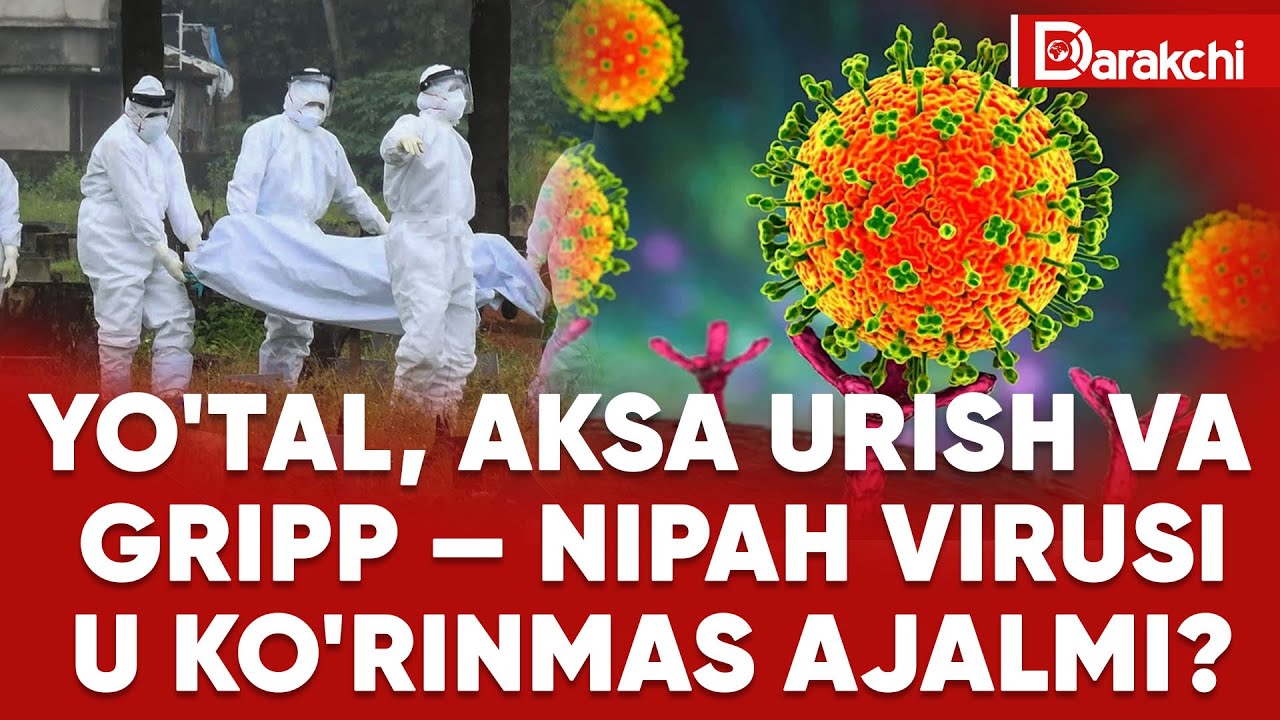 YO'TAL, AKSA URISH VA GRIPP — NIPAH VIRUSI. U KO'RINMAS AJALMI?