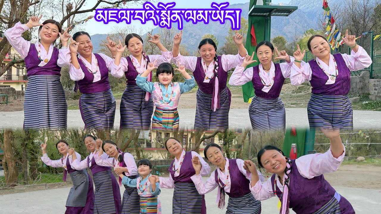 New Tibetan Gorshey Song མཇལ་བའི་སྨོན་ལམ་ཡོད། #newtibetangorshey #viralsong 