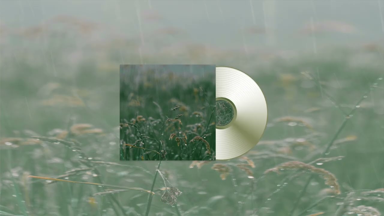 [ ASMR ] 비 오는 숲속 🌧️ Rainy Forest Ambience | 雨の森 | Gentle Rain & Nature Sounds & LP Crackle