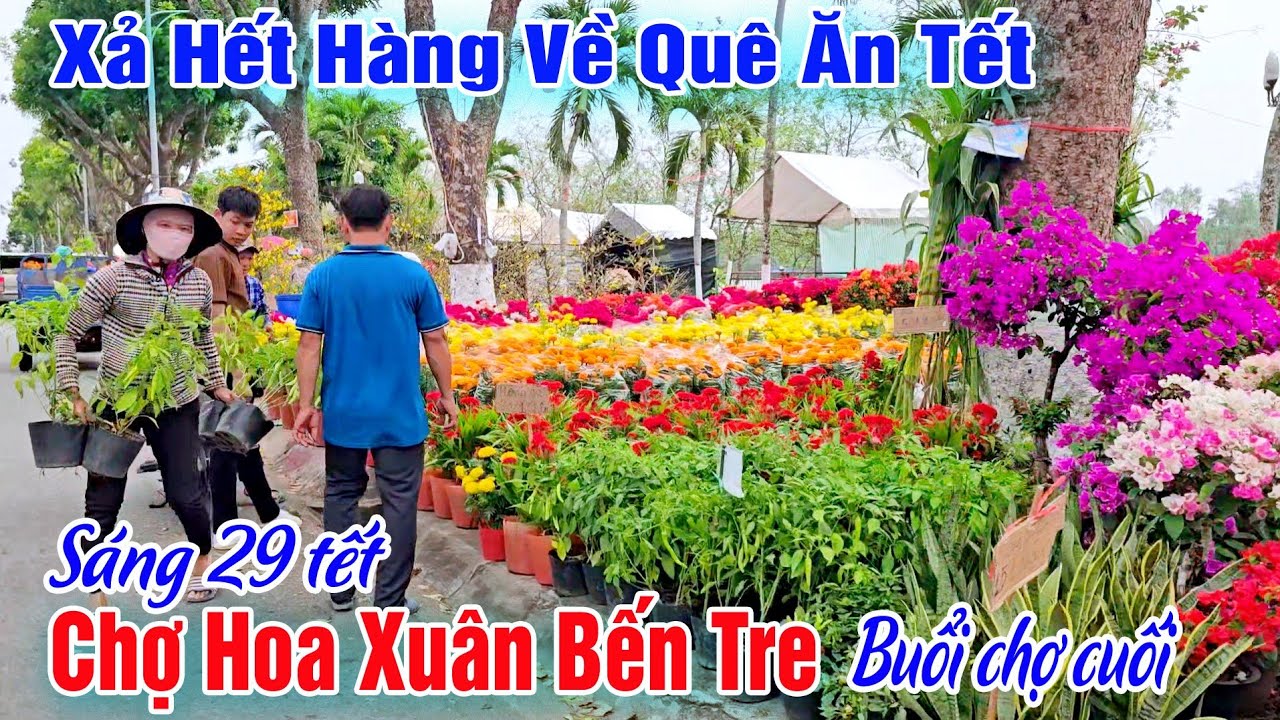 Buổi Cuối Chợ Hoa Xuân Bến Tre - Đồng Loạt Xả Hàng Người Mua Tăng Cao 