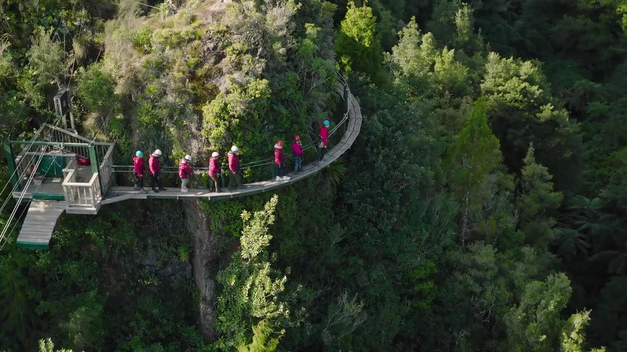 Not your average forest walk&hellip; we fly through ancient NZ trees! 🌿💥 #BestZiplineInRotorua