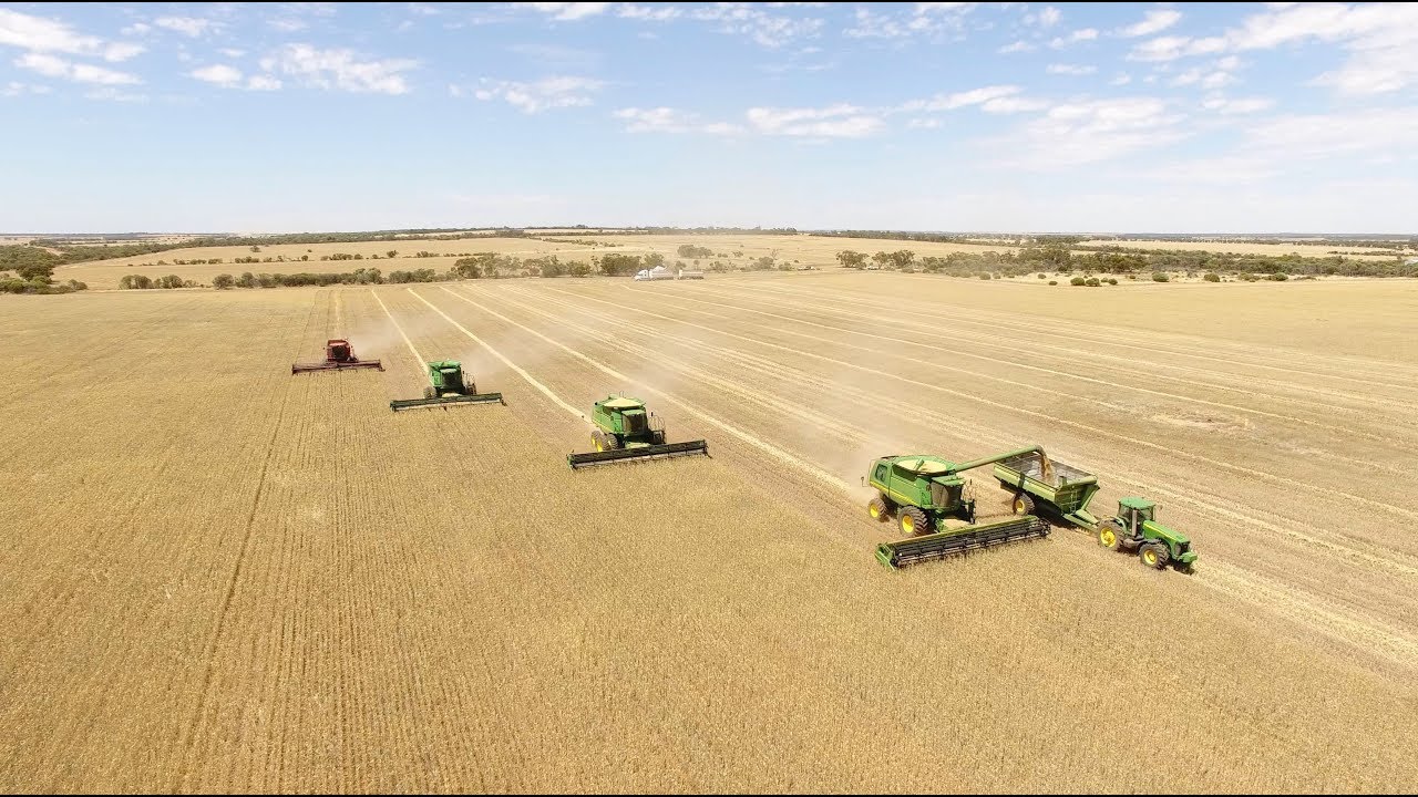 2018 Harvest, Burracoppin, WA