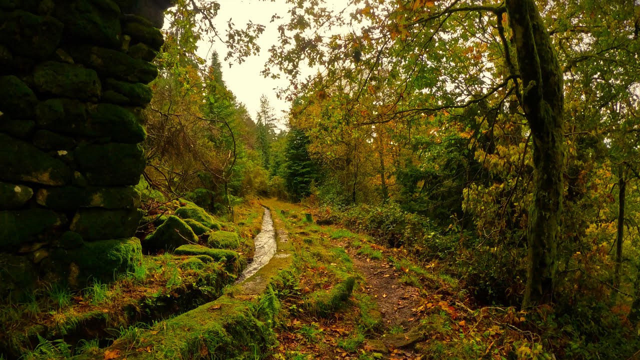 Cabeceiras de Basto - Moinhos de Rei || Levada da Víbora - PORTUGAL