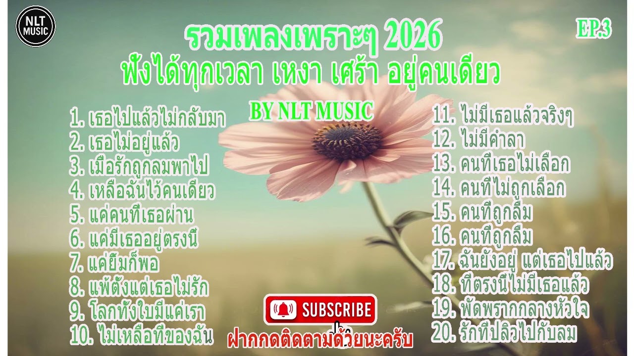 รวมเพลงเพราะๆ ที่น่าฟัง ฟังสบายๆ ทุกเวลา ปี 2026 EP.3 By NLT MUSIC