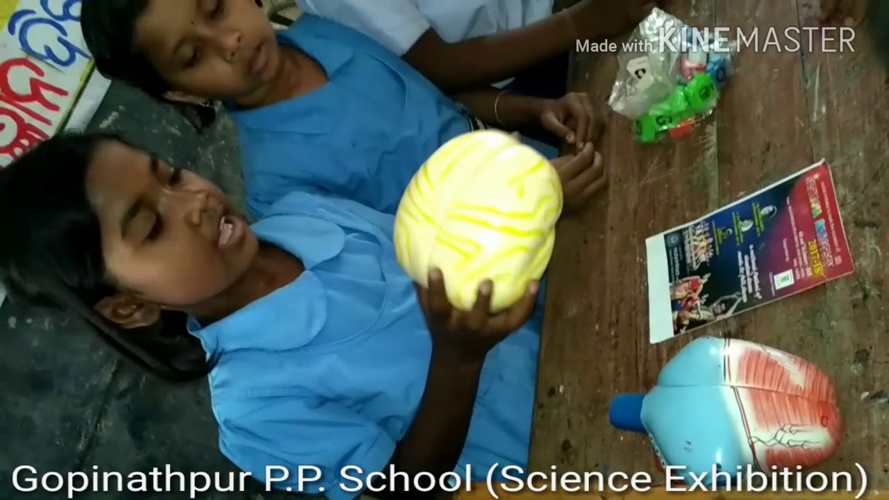 Science exhibition of gopinathpur project primary school on national science day ( 28/ 2/2018)