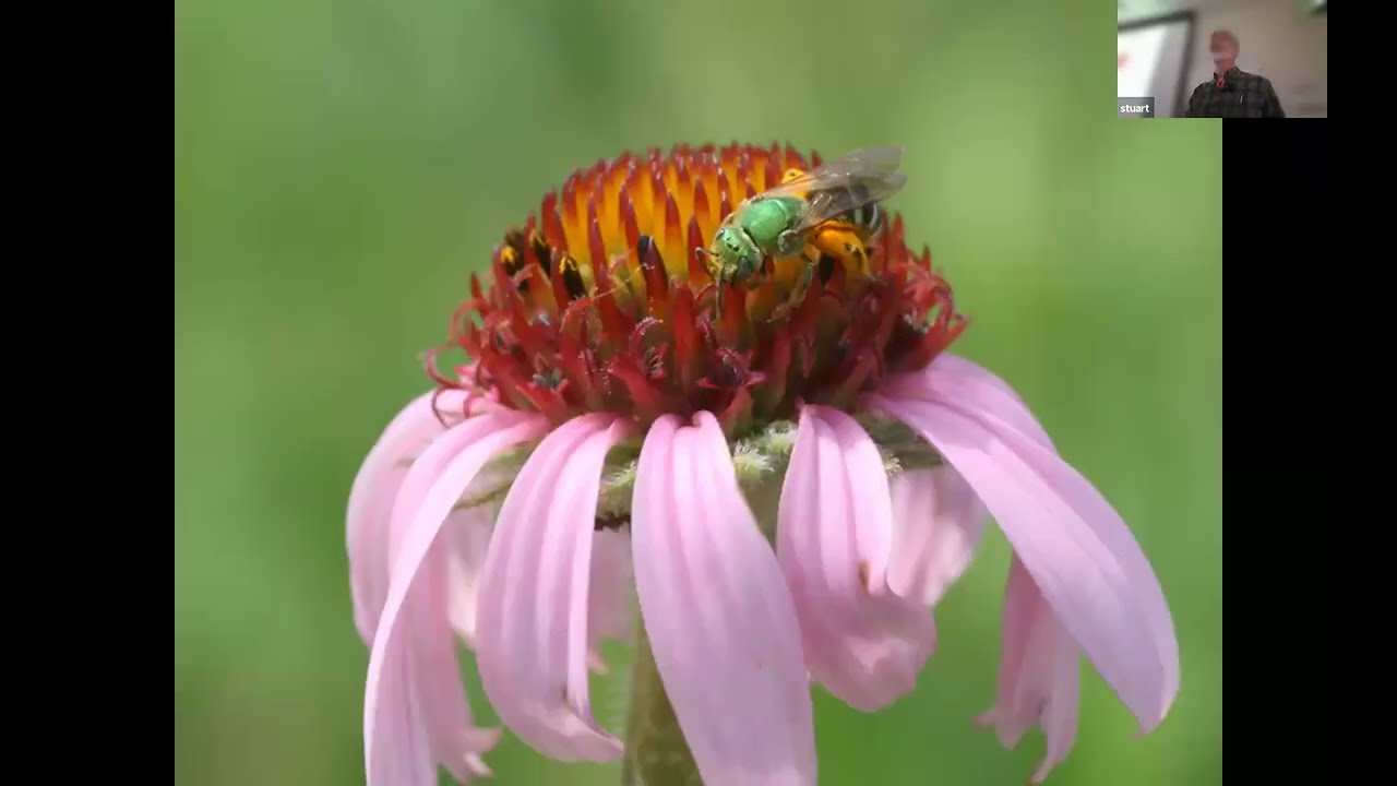 UMN Conservation Science Seminar - Dr. Stuart Wagenius (12/12/25)