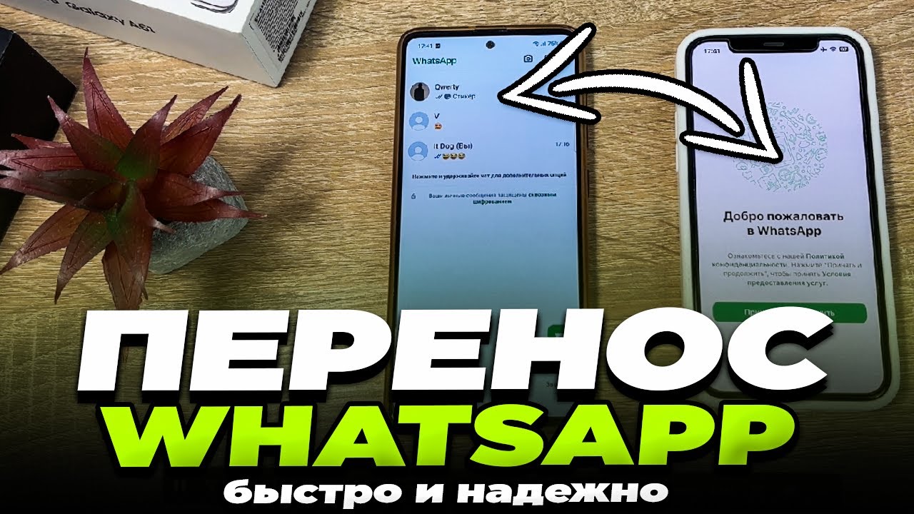 🔥 Передай WhatsApp с Android на iPhone БЕЗ ПК! Легче, чем Move to iOS! 😍 #movetoios