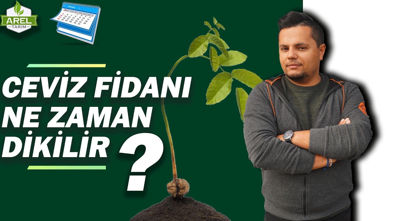 Fidan Ne Zaman Dikilmeli? Sırlarını Açığa Çıkar!