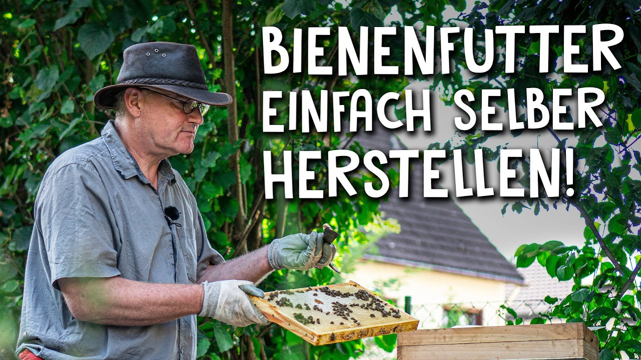 Einfaches Rezept für Futterteig für deine Bienen! 🐝 - Nur den eigenen Honig verwenden! ⚠️