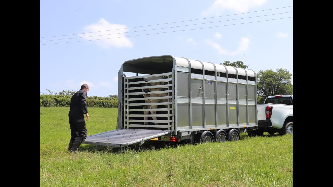 Ifor Williams livdyrhenger // DP120  14' fots og treakslet