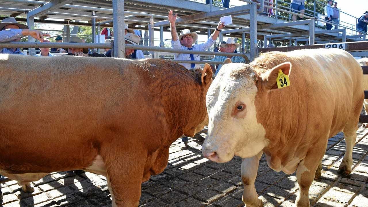 Casino Beef Capital