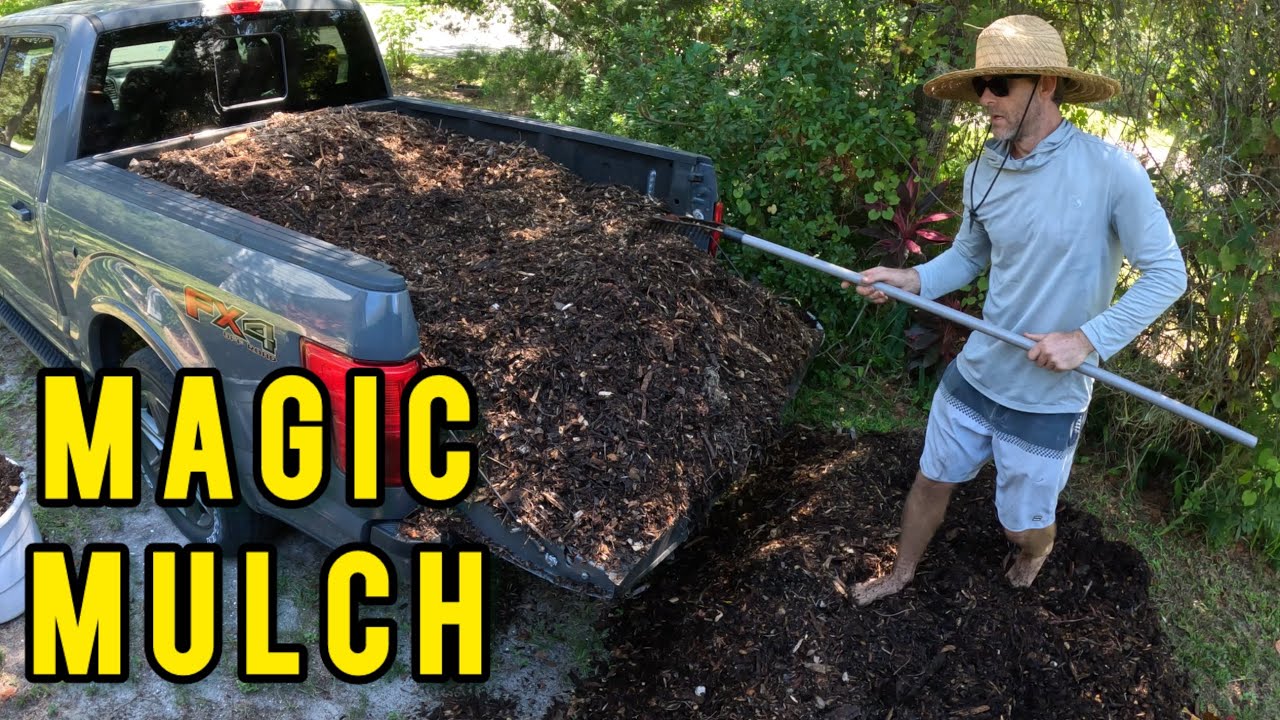 Why mulch is so important for your fruit trees and gardens, and how to get it for free!
