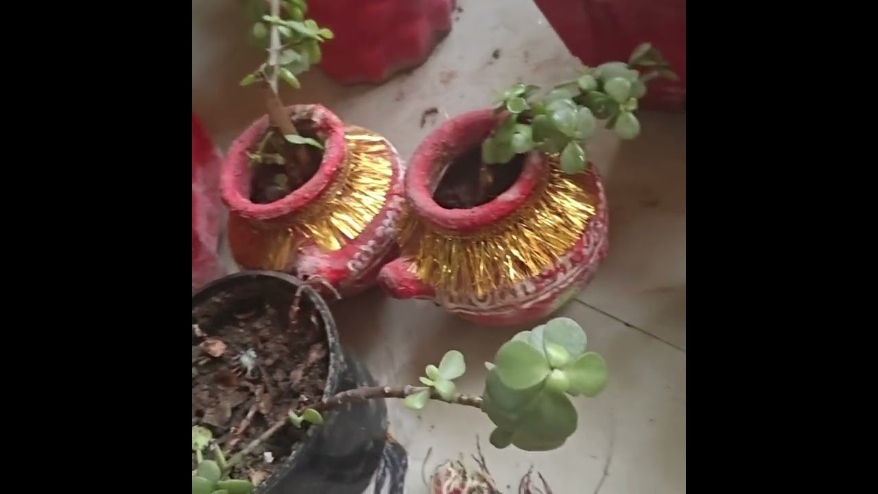 नन्हे मुन्नो की सेवा 