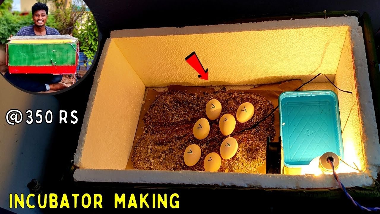 Incubator செய்வது எப்படி? 🐣| How to Make Incubator at Home 🥚| Egg Hatching