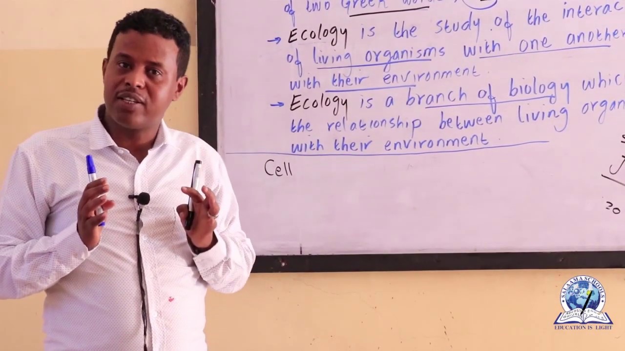Form 3 / Biology / Chapter 3 /  ECOLOGY AND ECOSYSTEM