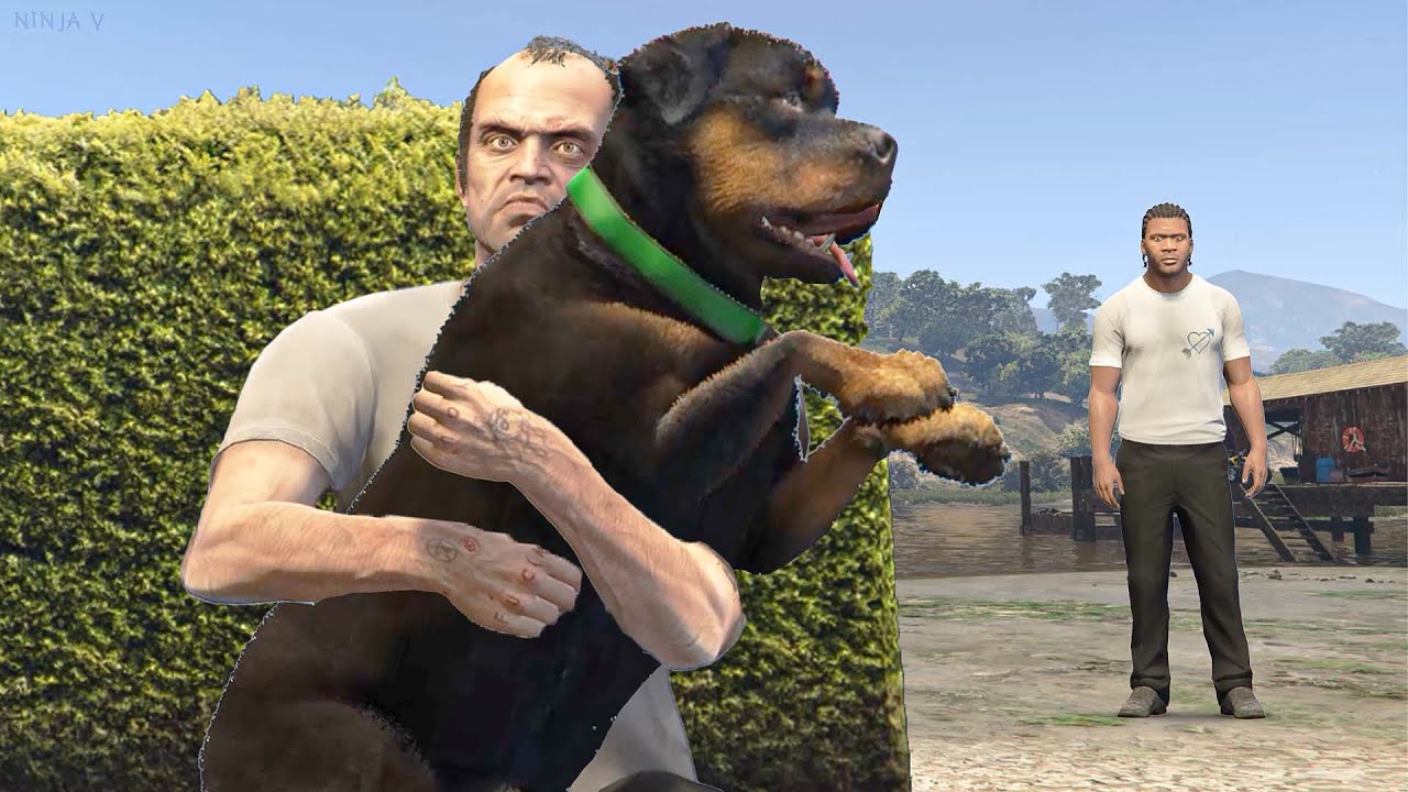 GTA V - Trevor Kidnapped Chop from Franklin
